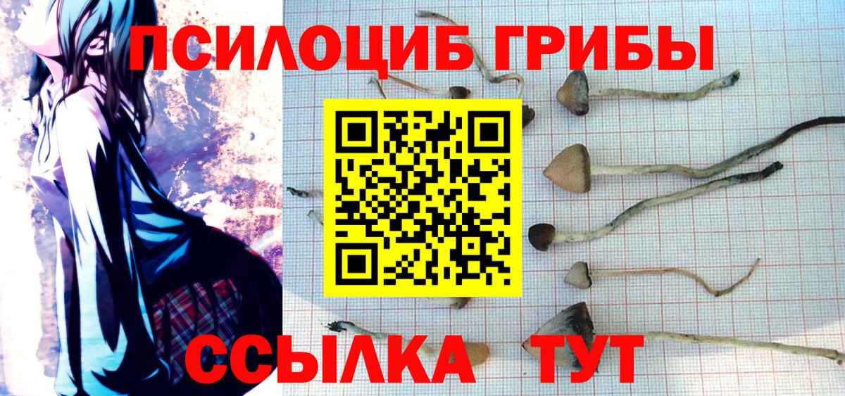 Галлюциногенные грибы мицелий Выборг