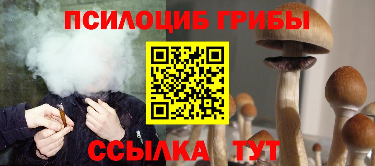 Псилоцибиновые грибы мицелий  Вход с VPN  Псилоцибиновые грибы GOLDEN TEACHER  Выборг 